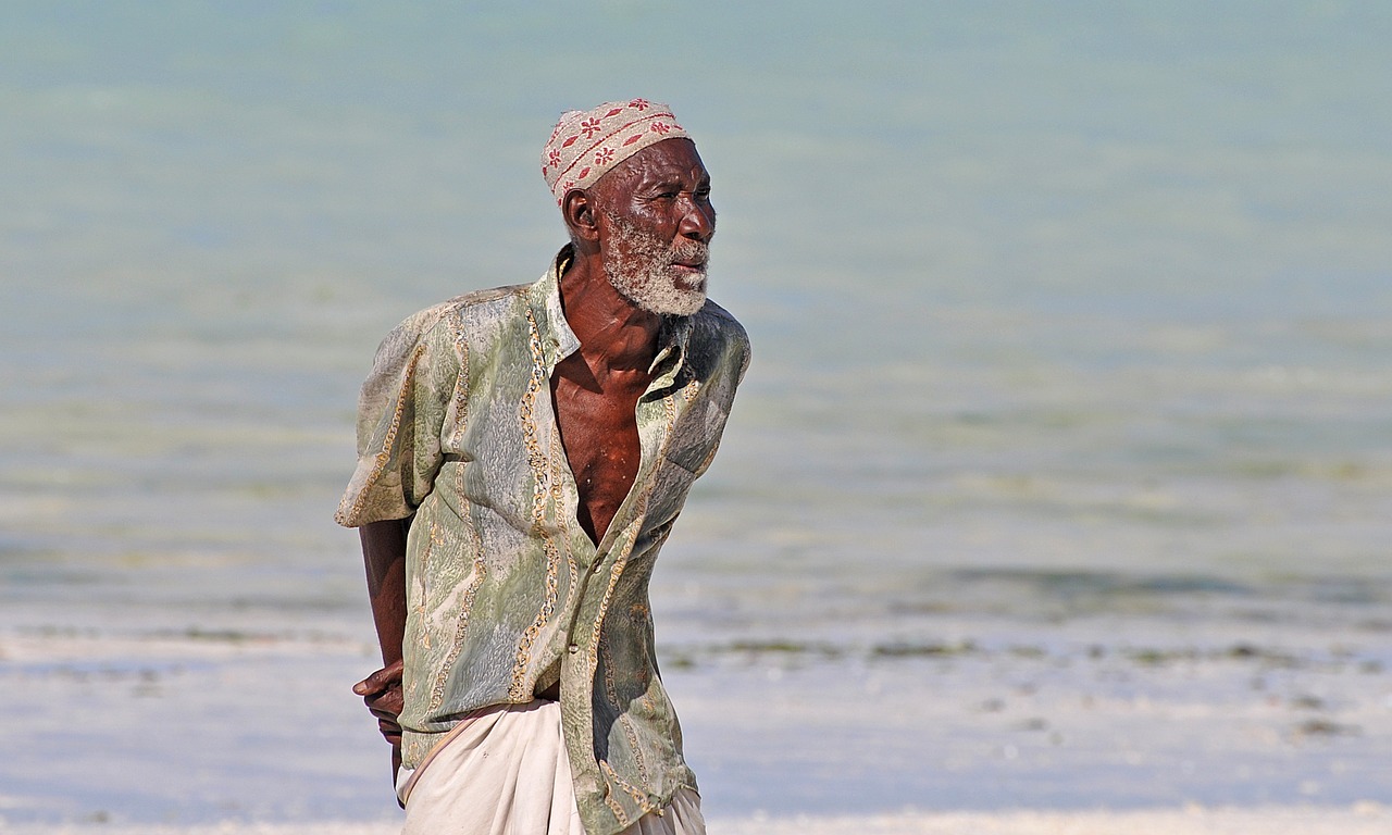 中華孝道園最新消息,中華孝道園最新動態(tài)，傳承與創(chuàng)新的融合