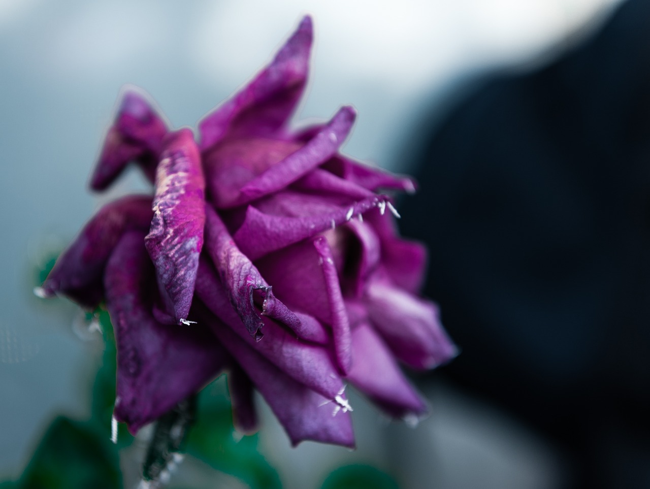 天津老年卡最新動態(tài)，關(guān)愛老年人，打造便捷生活