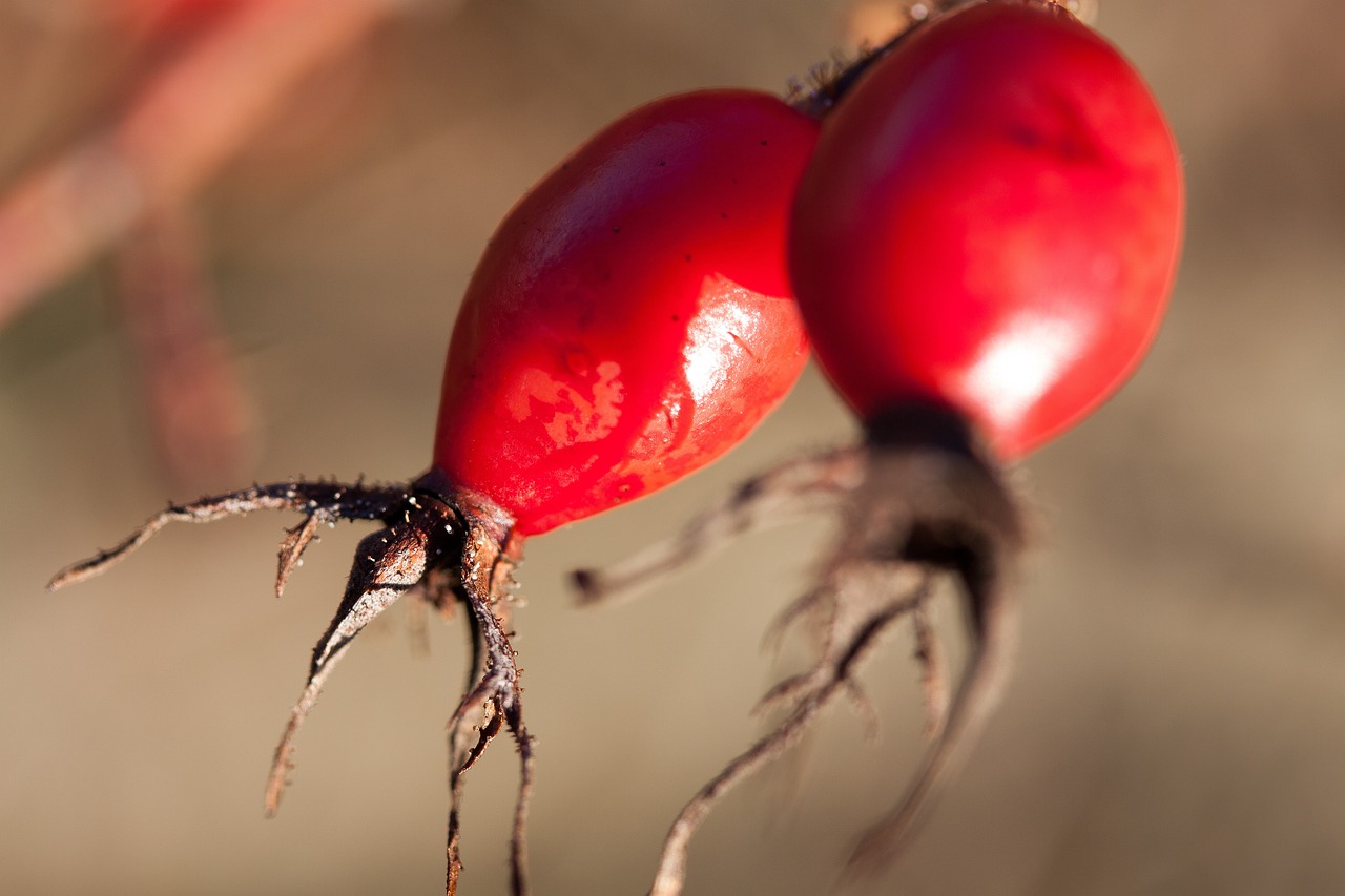邳州工廠招工最新動態(tài)，探尋發(fā)展機遇，共筑美好未來