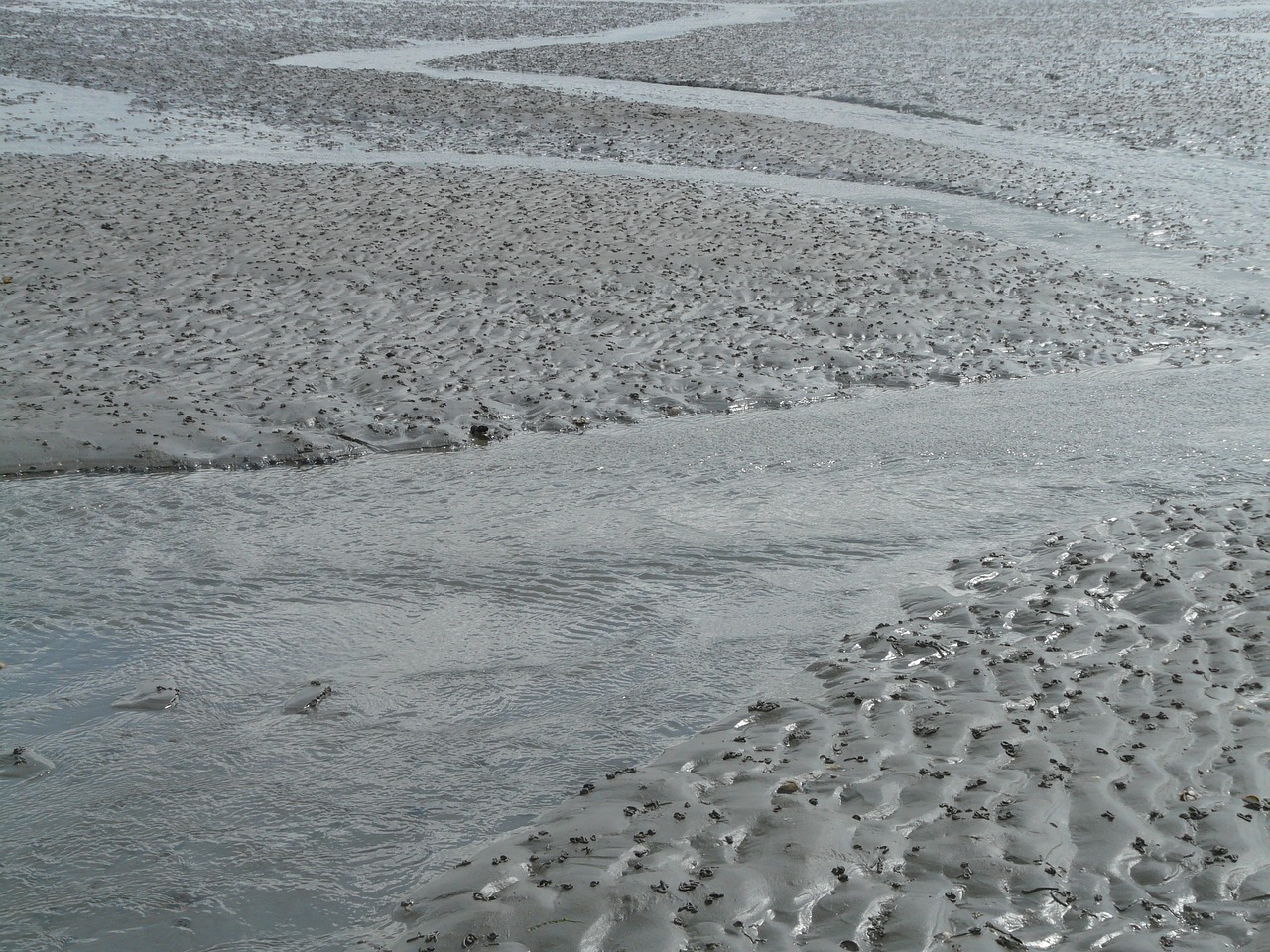 北海傳銷最新動(dòng)態(tài)曝光，真相揭秘與風(fēng)險(xiǎn)警惕