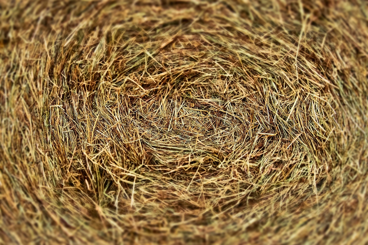 霧夕 第21頁(yè)