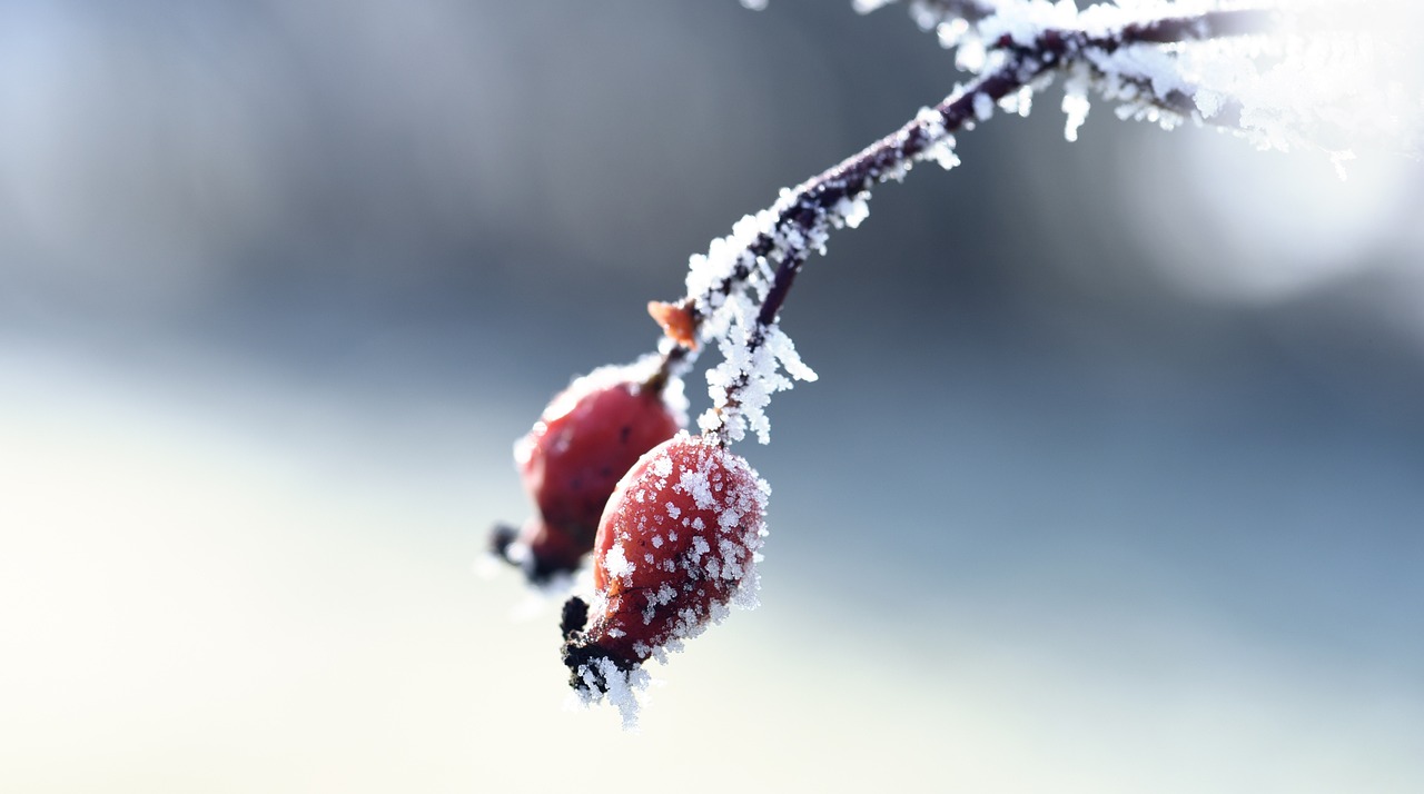 資興新房出售最新消息揭秘，最新房源動(dòng)態(tài)與優(yōu)惠信息一網(wǎng)打盡！