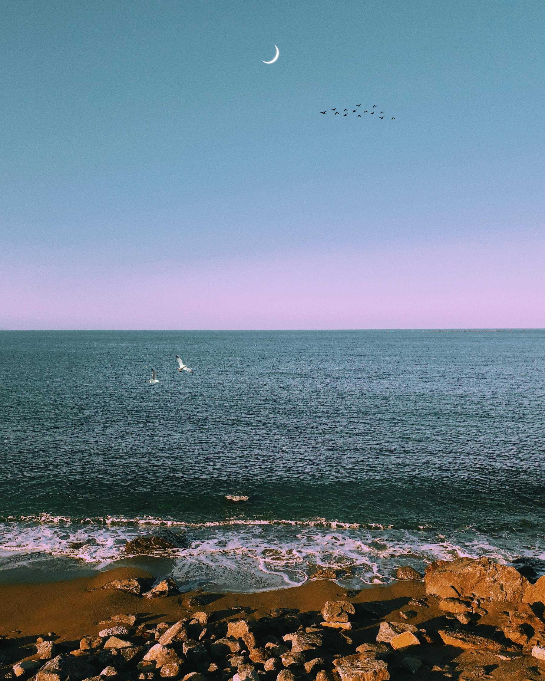 馬特波莫最新動(dòng)態(tài)揭秘，引領(lǐng)前沿科技，開啟未來趨勢新篇章