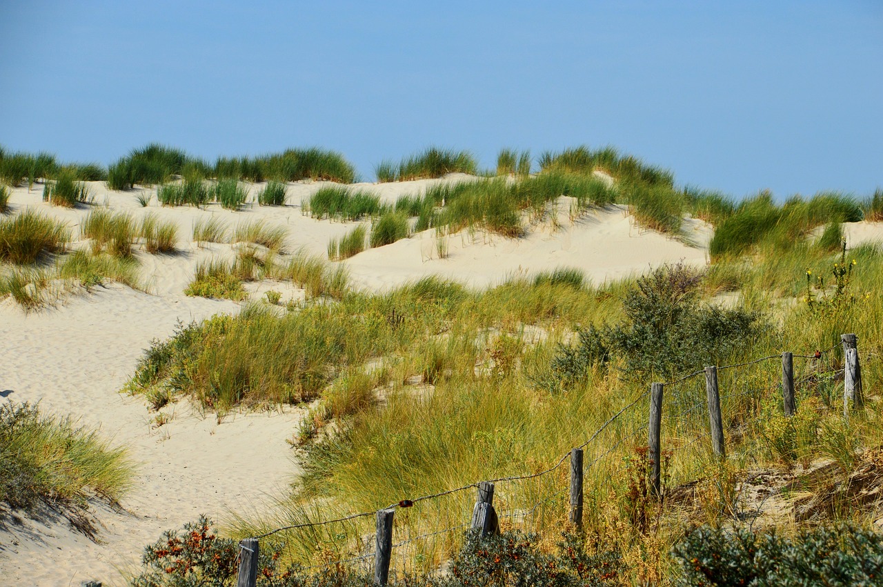 海啟高速如東最新消息概覽，最新動態(tài)與進展報告