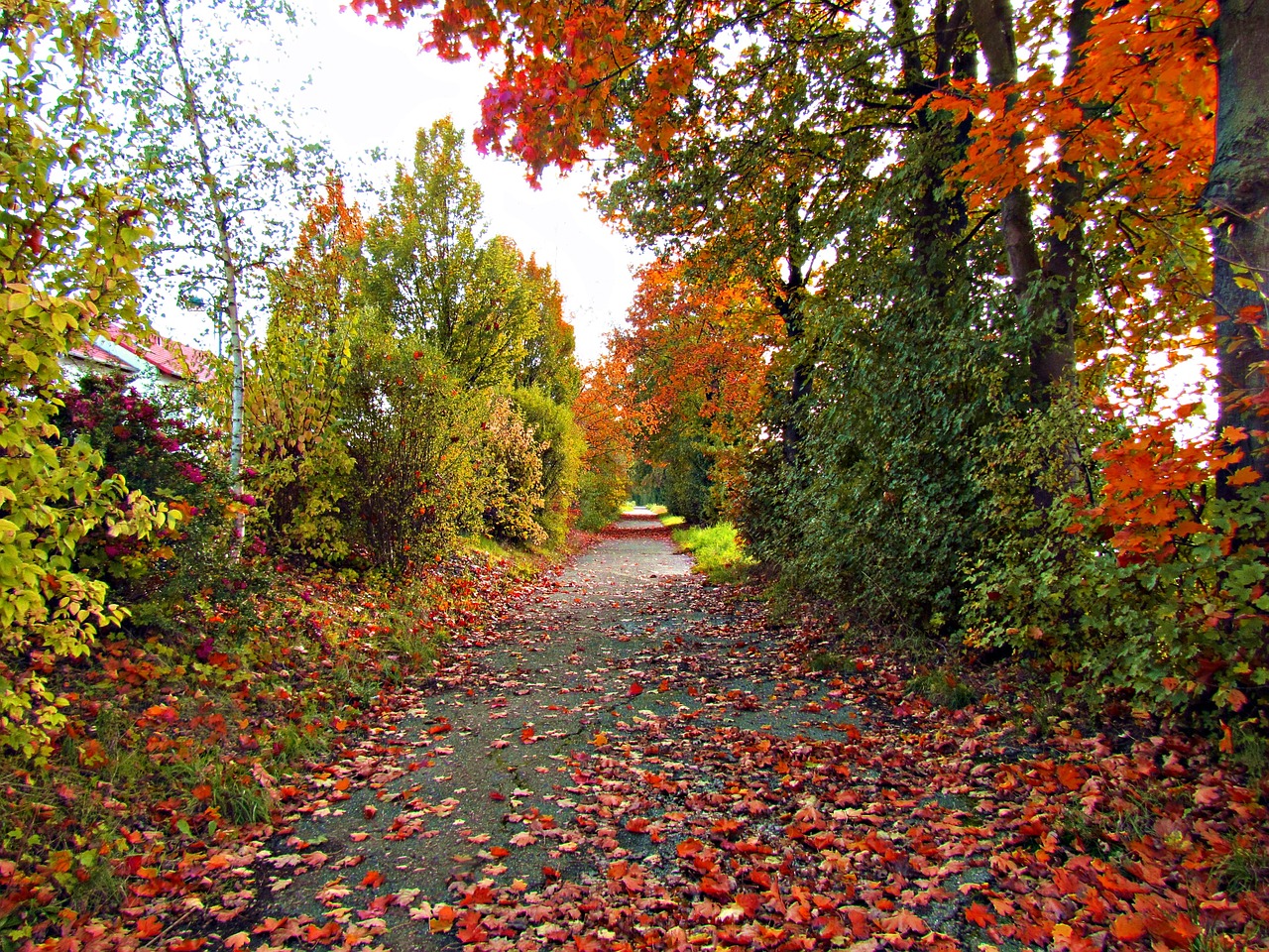 和橋招聘網(wǎng)最新招聘動(dòng)態(tài)及職業(yè)發(fā)展黃金機(jī)會(huì)