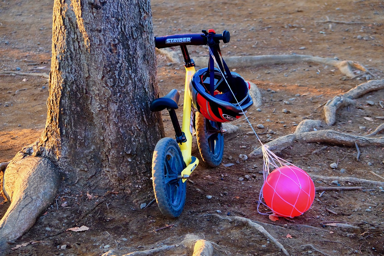 收養(yǎng)法修改最新動態(tài)，重塑收養(yǎng)制度，保障兒童權(quán)益