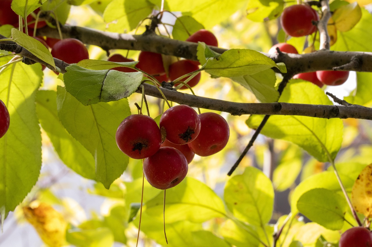濟南圣井新城最新動態(tài)，城市新篇章正在譜寫