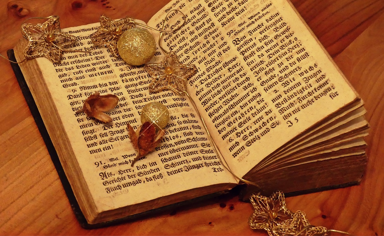 嫖文執(zhí)行者，探索與啟示的最新章節(jié)