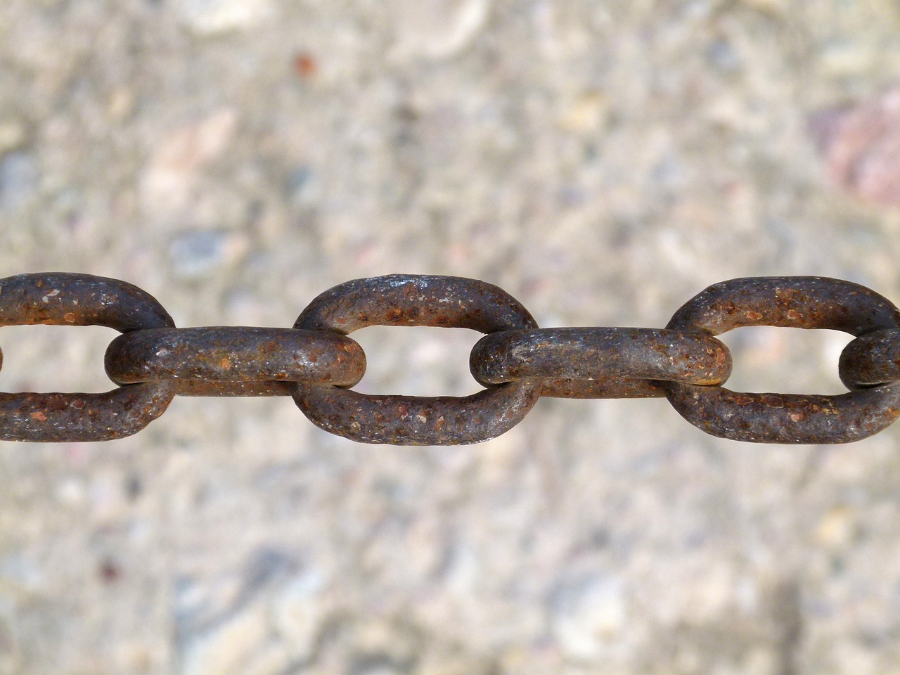 李仕軍在旺蒼的最新動(dòng)態(tài)，推動(dòng)地方發(fā)展，展現(xiàn)新面貌