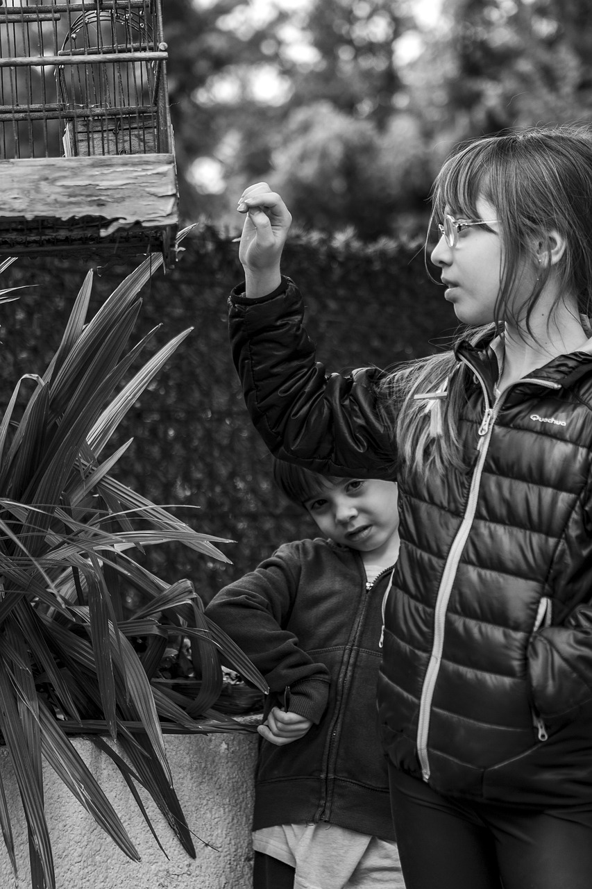 自然與科技融合的未來探索，自然界云棲最新動態(tài)揭秘