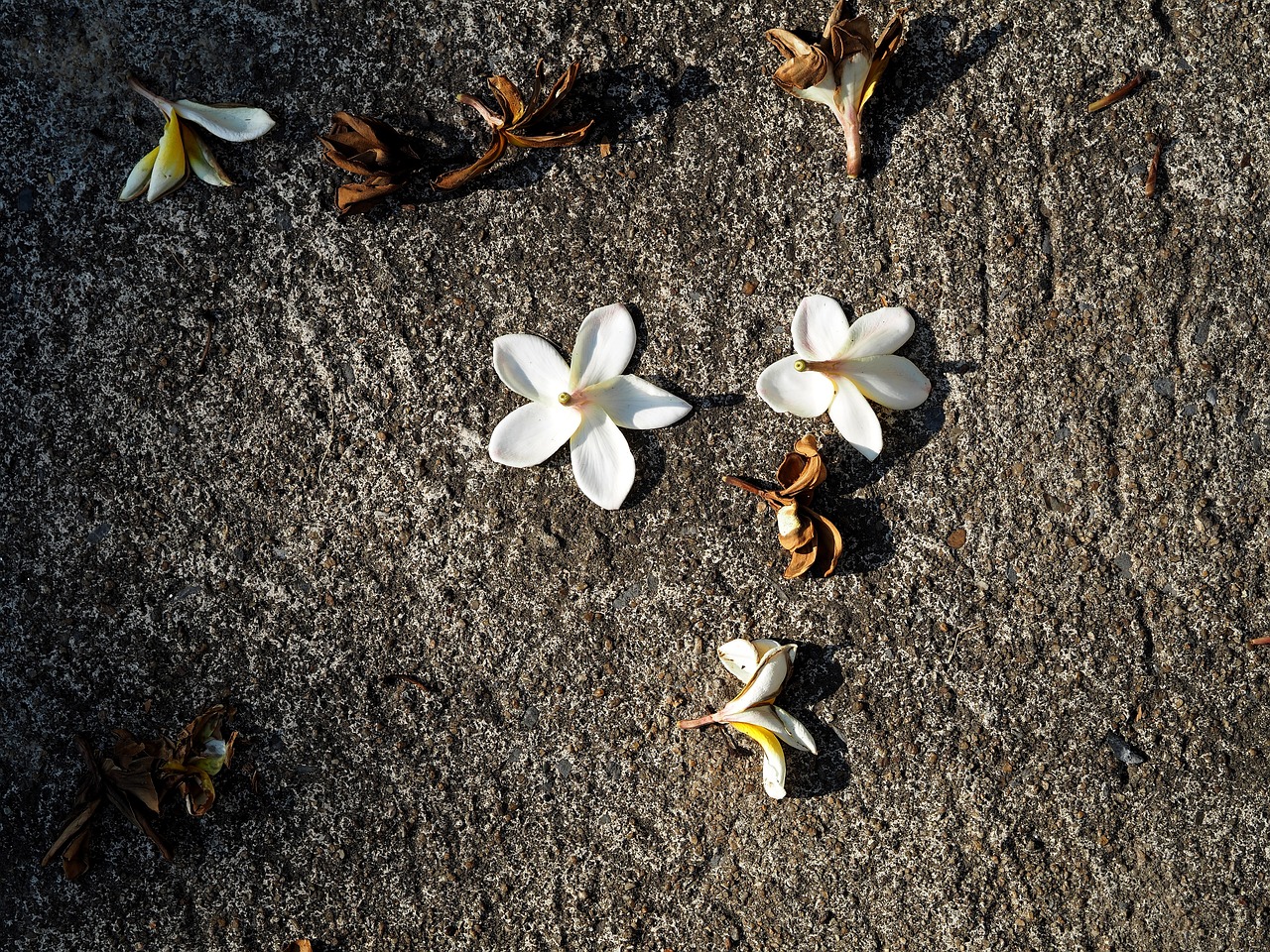 昭通方宗輝最新消息全面解析與動(dòng)態(tài)更新