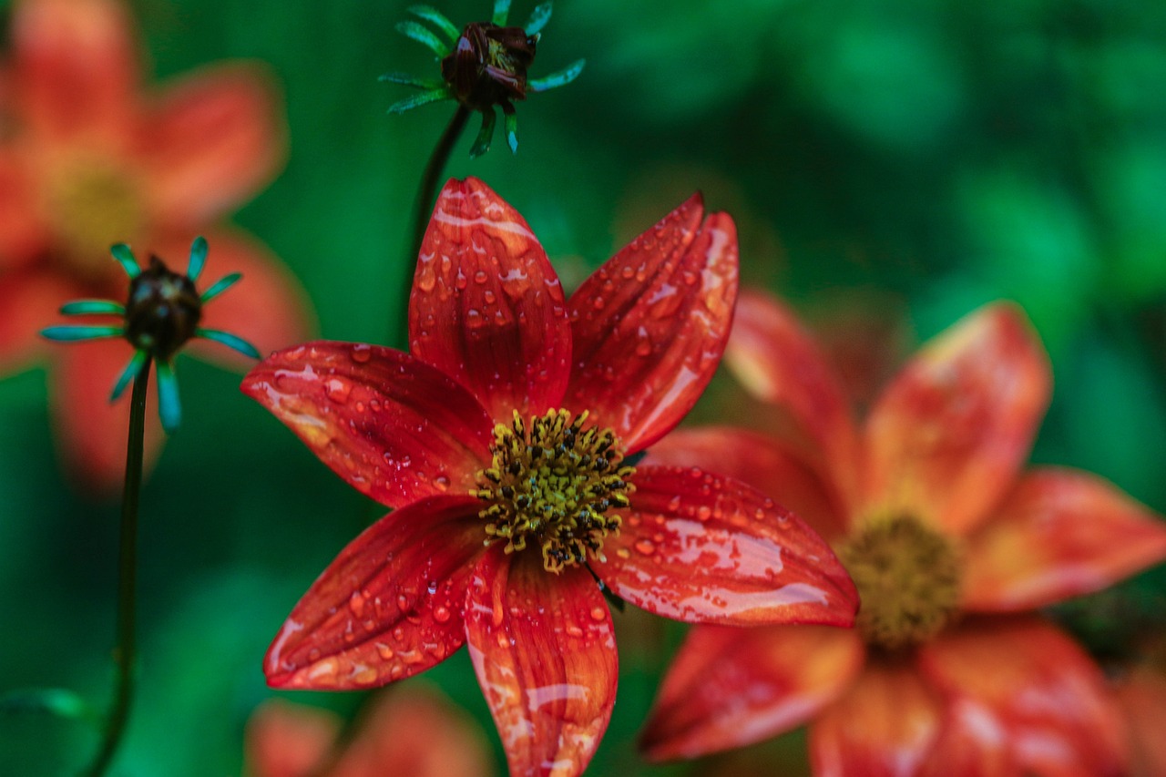 懷來萬悅廣場，城市新地標(biāo)，引領(lǐng)未來生活風(fēng)尚新動態(tài)