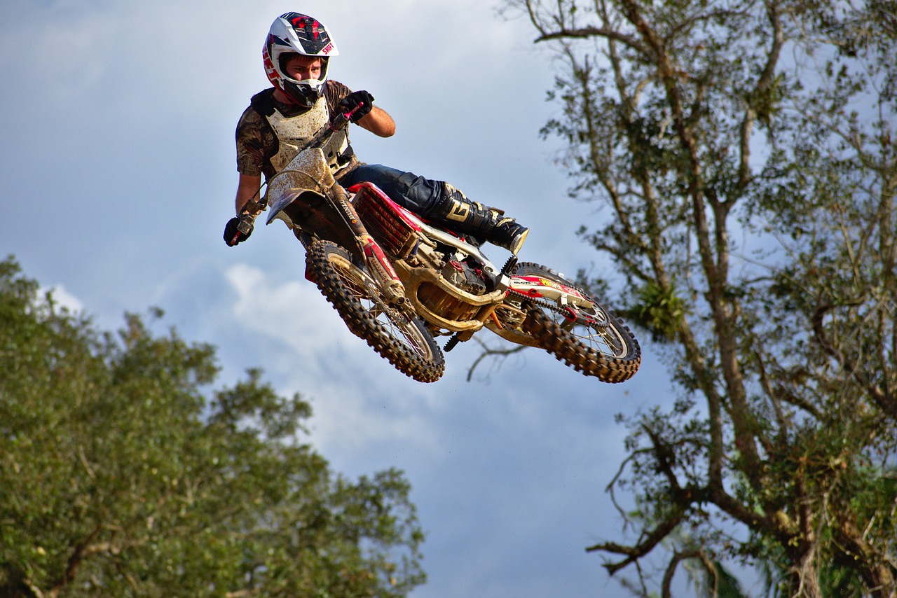 花開無言 第18頁(yè)