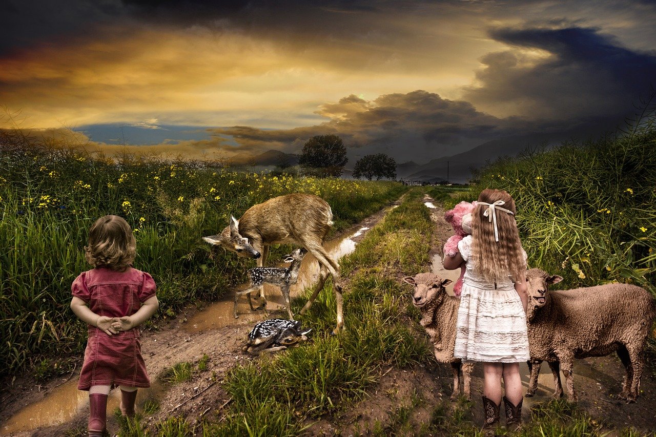 逍遙派最新章節(jié)，奇幻之旅探尋神秘世界