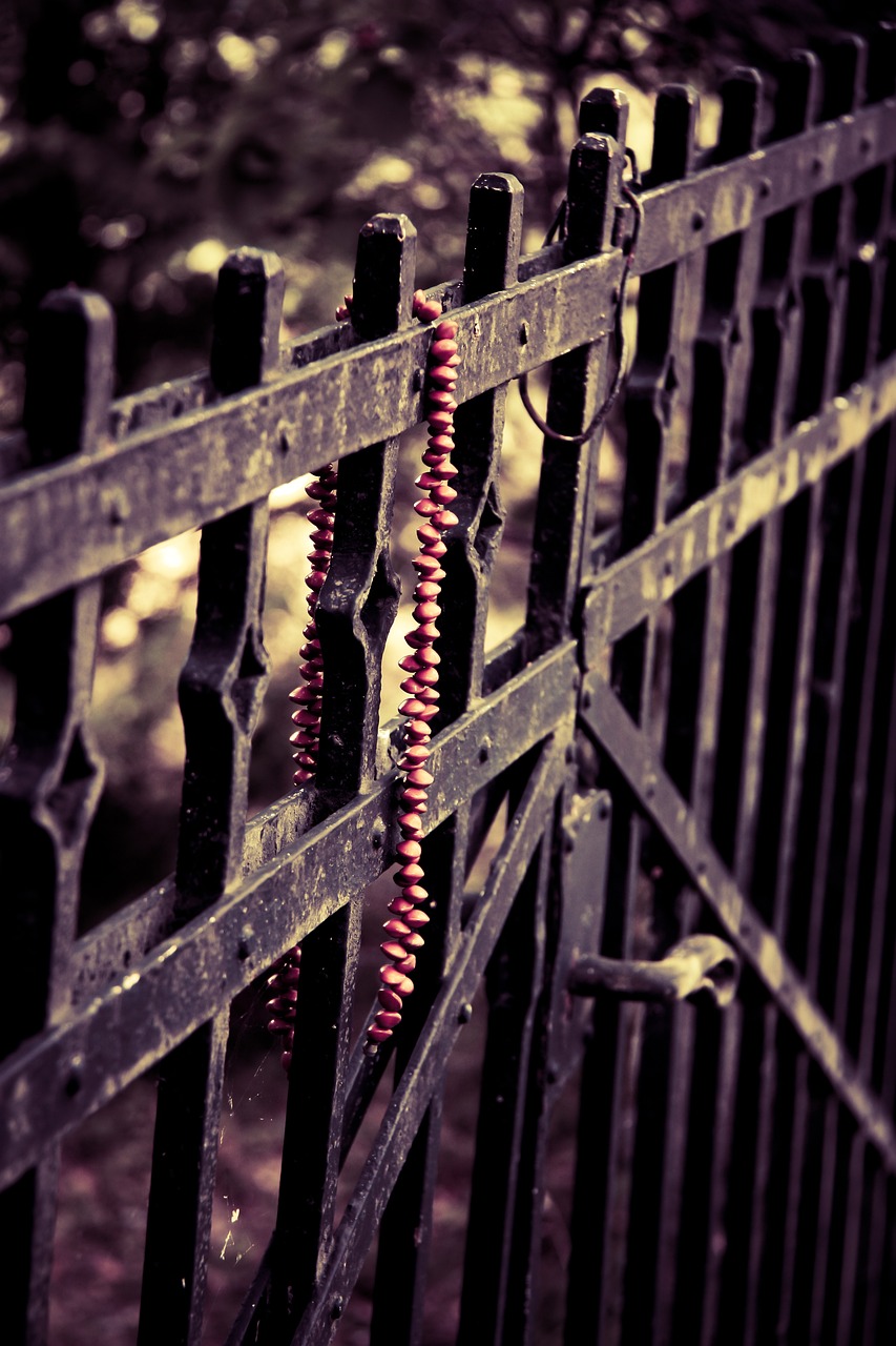 稀有金屬隕石最新探索，宇宙神秘禮物的最新消息