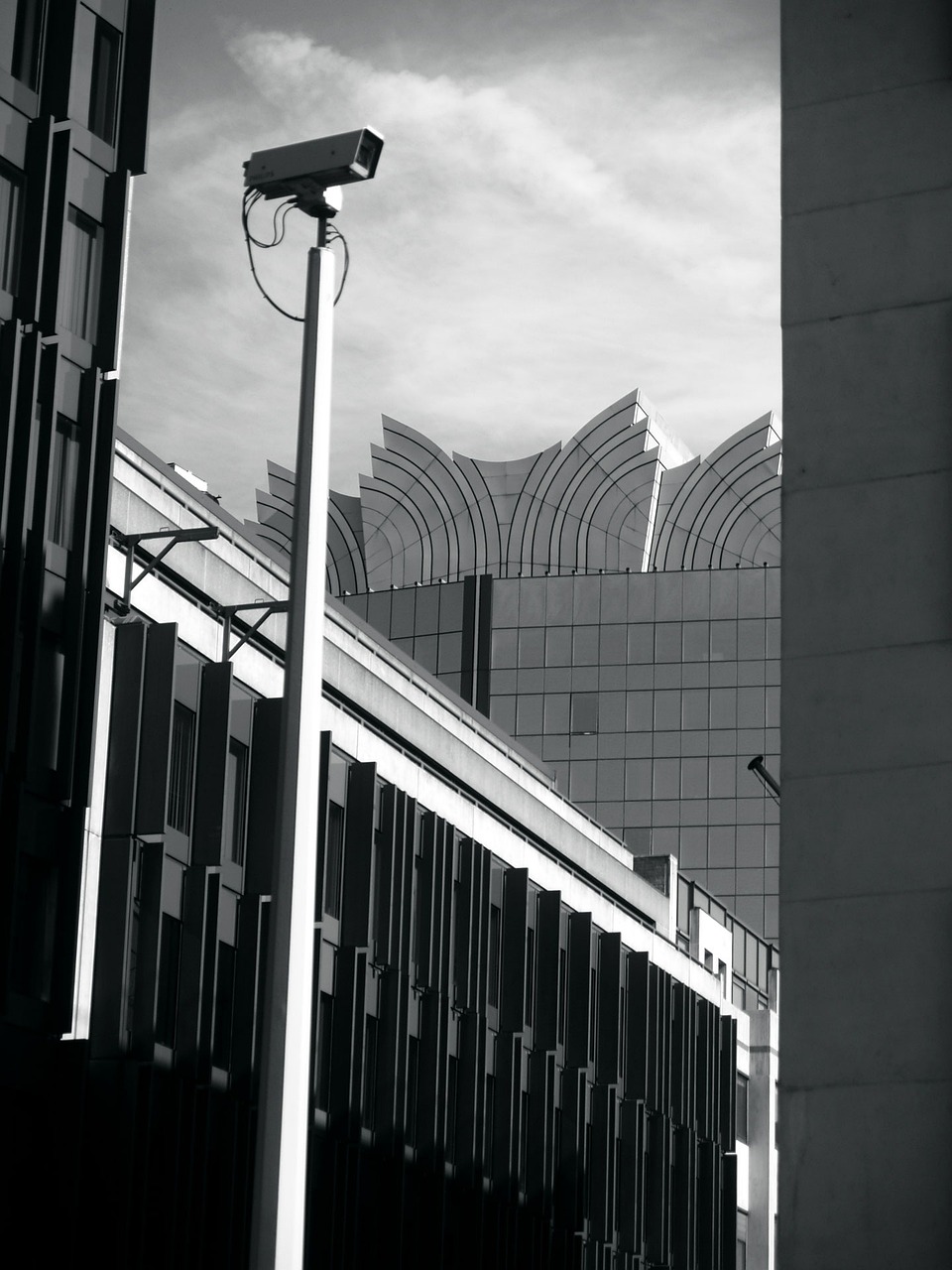 壽縣迎河鎮(zhèn)最新消息概覽，動態(tài)更新與資訊一覽