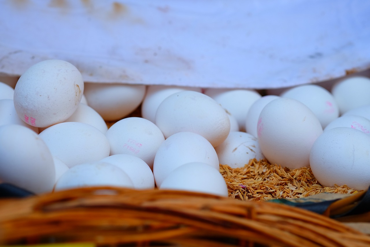 瀏陽關口未來展望，最新發(fā)展動態(tài)及前景展望