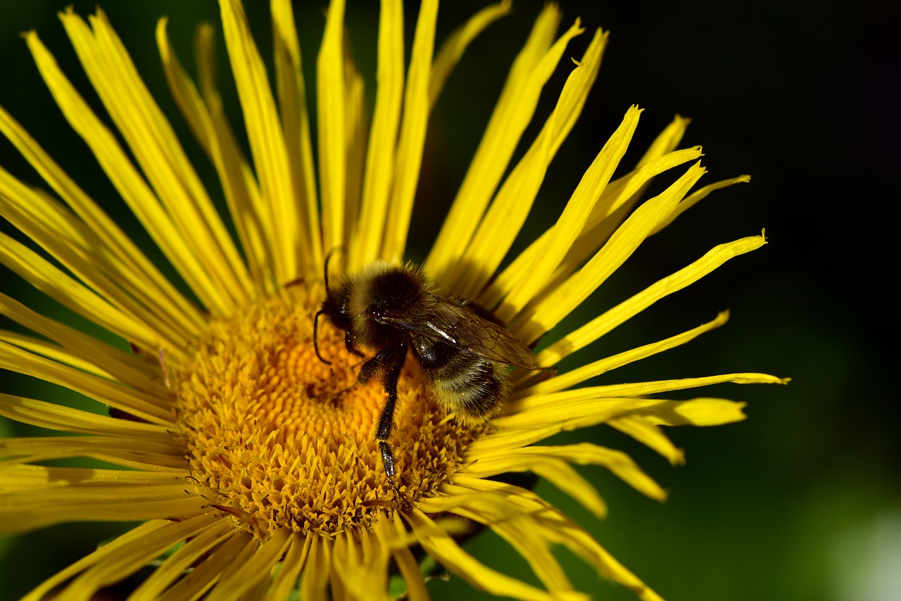 太原城市改造最新動態(tài)，煥新顏，發(fā)展提速