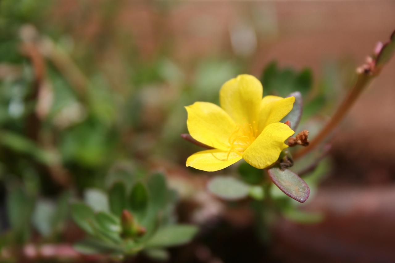 威海泊于水庫最新動態(tài)，進展、影響與展望