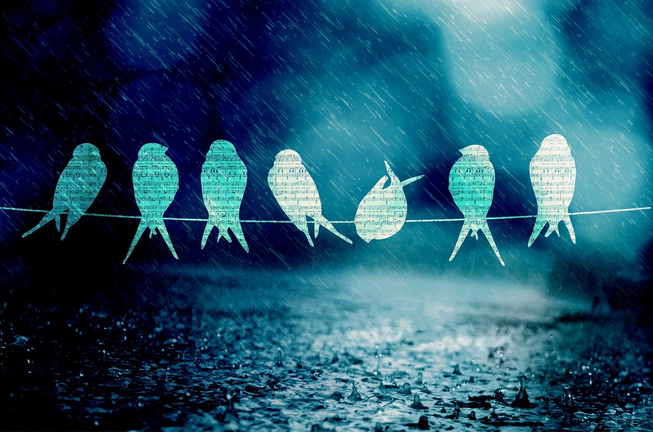 新鄉(xiāng)李寶琴，音樂中的勵志人生最新消息