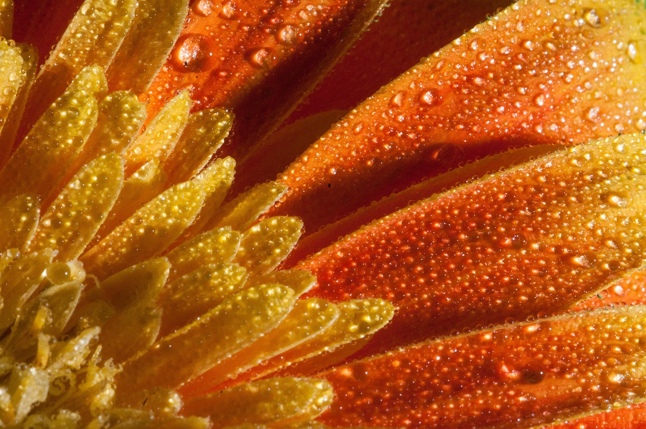 鄭州東岸尚景最新動(dòng)態(tài)，城市新篇章的璀璨明珠