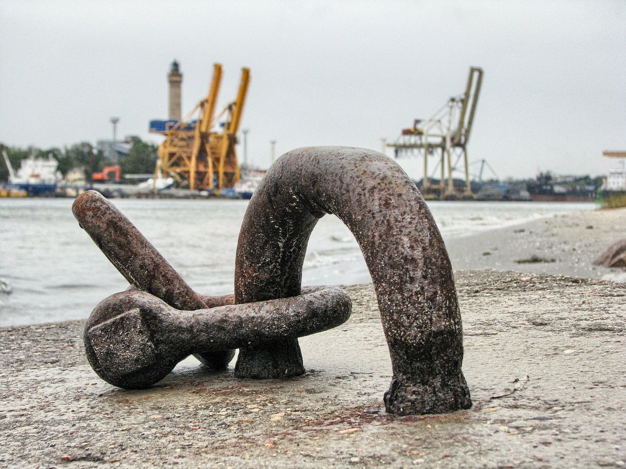 大連外經(jīng)貿(mào)最新消息概覽，最新動態(tài)與發(fā)展分析