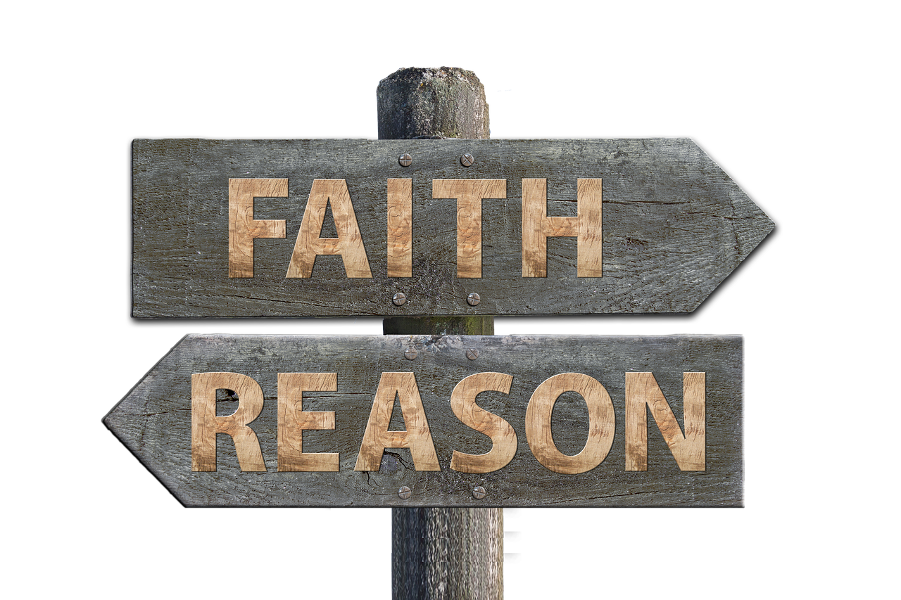 華圖教育股票最新動(dòng)態(tài)，市場(chǎng)走勢(shì)、前景展望與最新消息