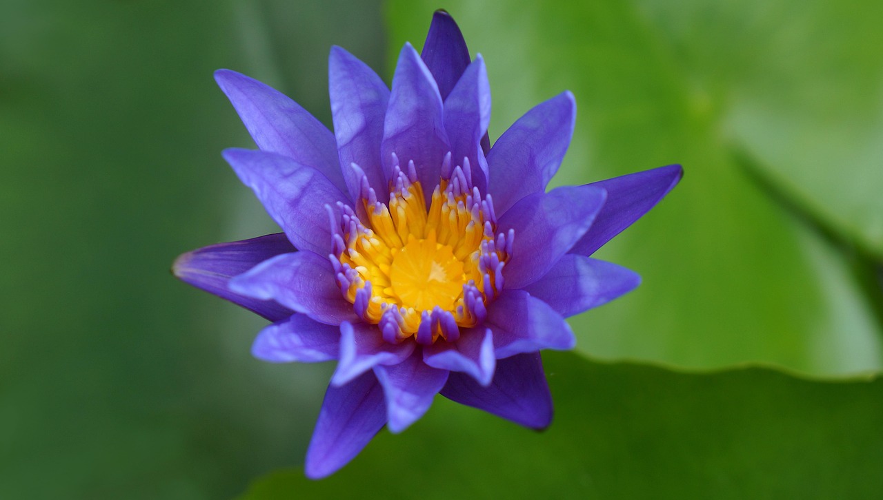 雙陽區(qū)火車站邁向現(xiàn)代化，提升服務質量，最新動態(tài)報告