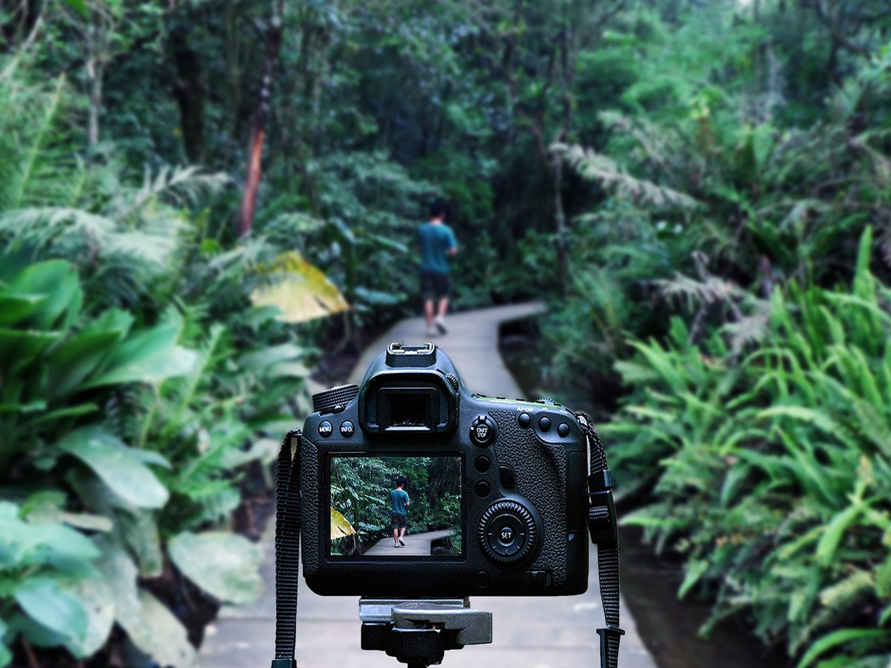 灌南高鐵站最新消息深度解析，最新動態(tài)與進展