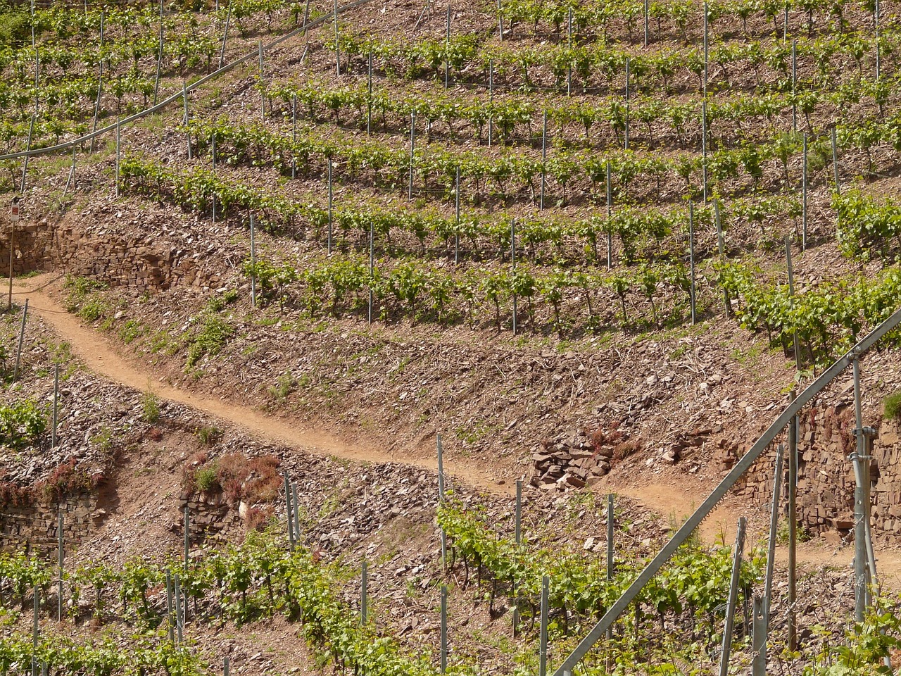 紅河谷論壇最新地址，全新探索與交流平臺(tái)的開(kāi)啟