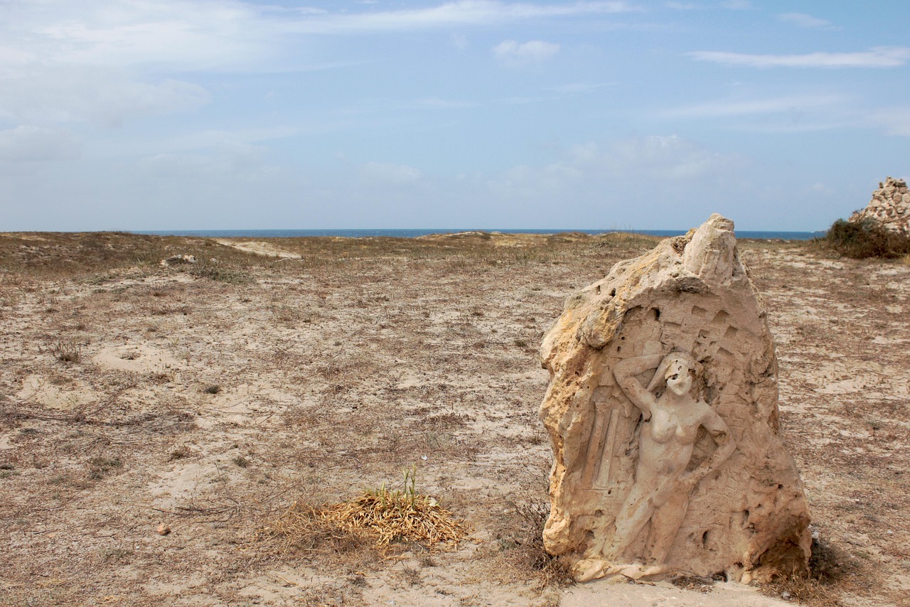 濱海旅游區(qū)新動態(tài)，世界級旅游目的地打造最新消息