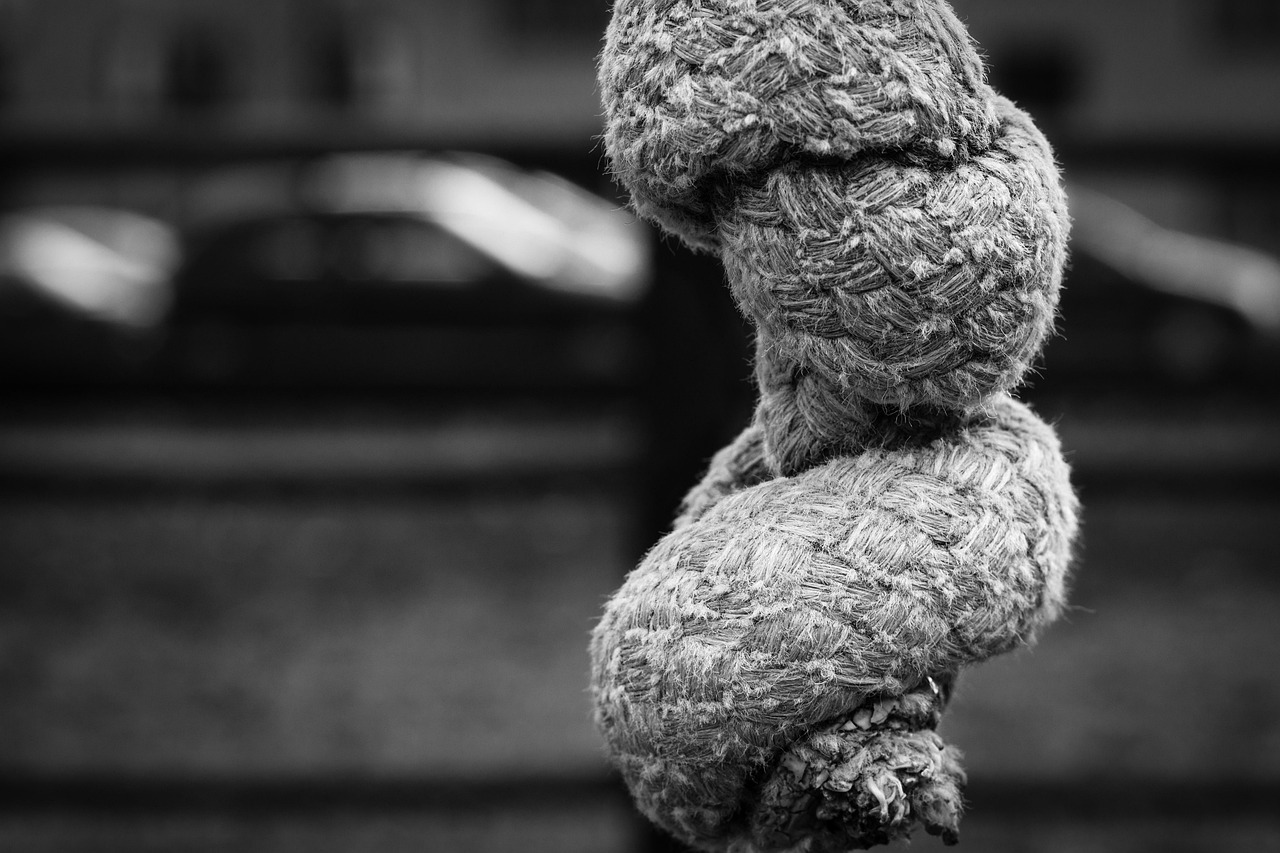 佳能RF鏡頭2023最新動態(tài)，引領(lǐng)攝影技術(shù)革新