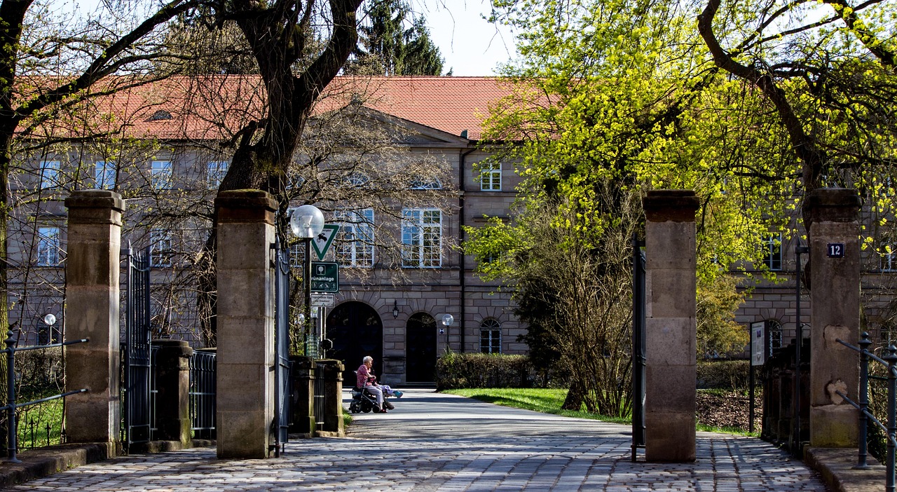 洛陽(yáng)王城大道最新動(dòng)態(tài)，城市發(fā)展的脈搏與未來(lái)展望
