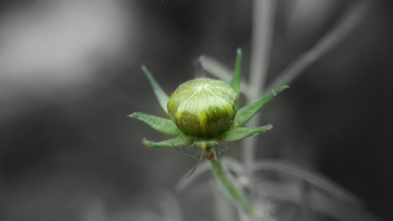 托普軟件最新消息深度解析，公司動(dòng)態(tài)與技術(shù)進(jìn)展一網(wǎng)打盡