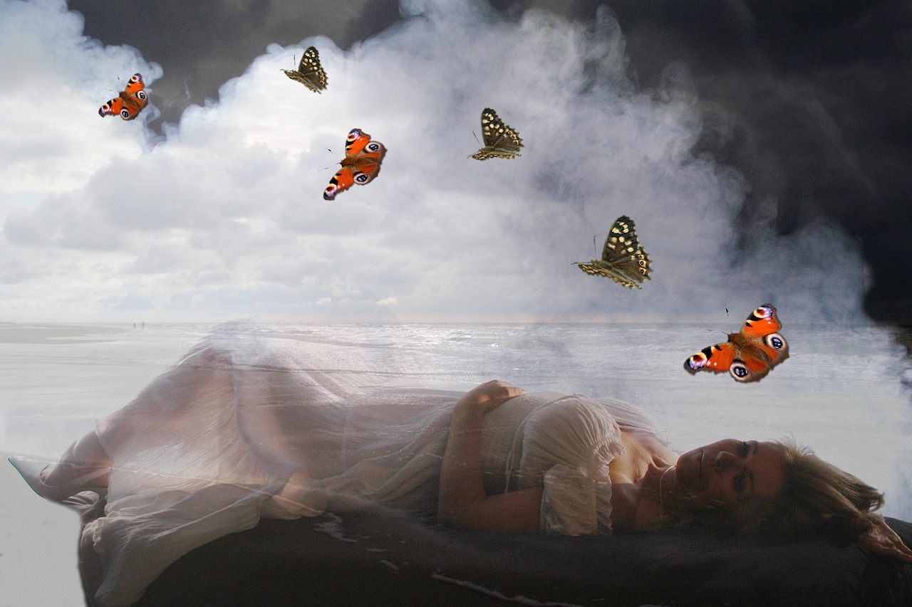 松木塘工業(yè)園最新招聘動(dòng)態(tài)解析，人才需求與招聘信息概覽