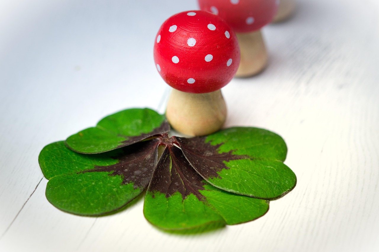 遂平城南新區(qū)蓬勃發(fā)展揭秘，最新動(dòng)態(tài)與未來展望