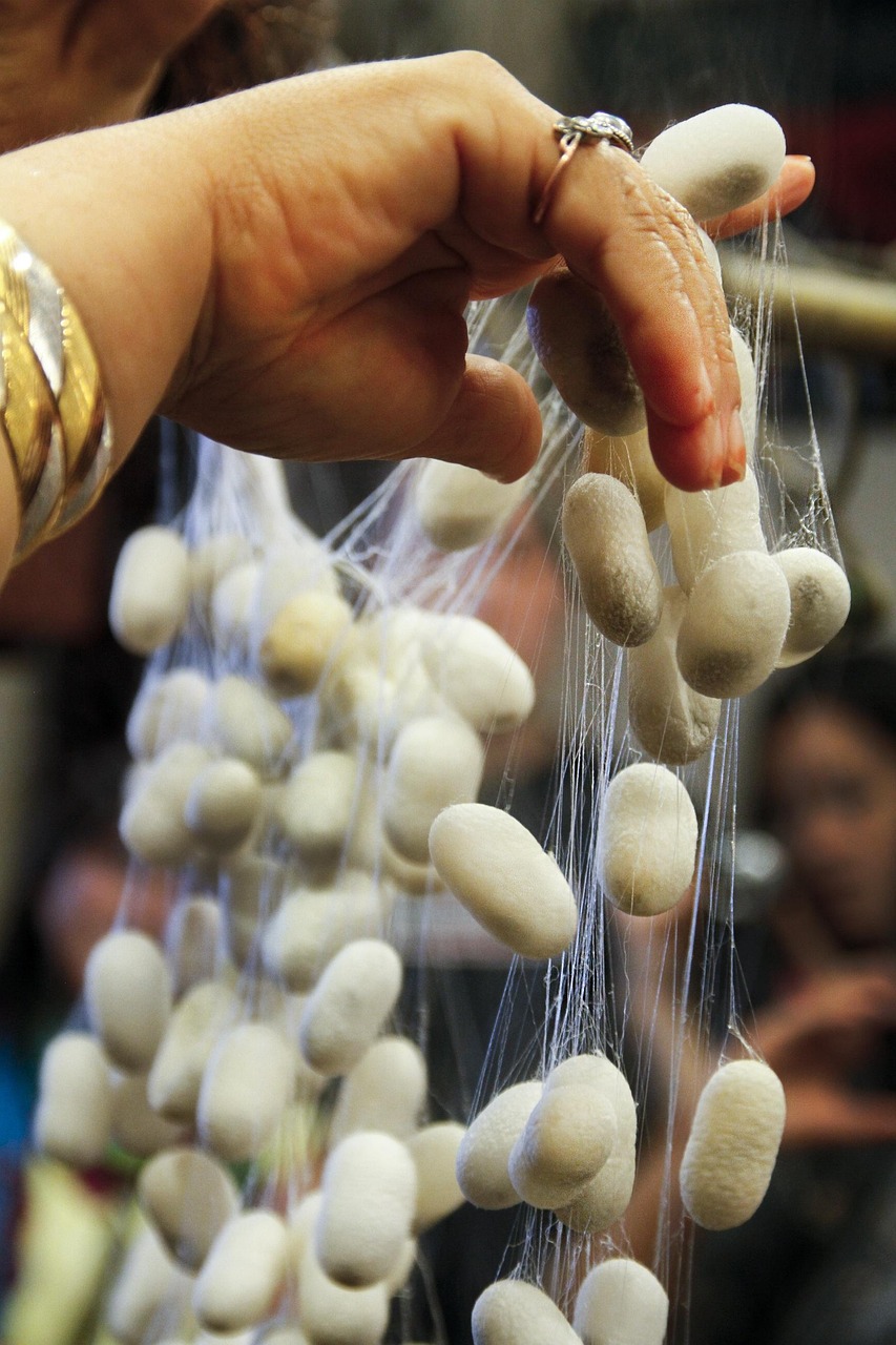 三殿村改造最新動態(tài)，重塑鄉(xiāng)村風(fēng)貌，邁向現(xiàn)代化進(jìn)程