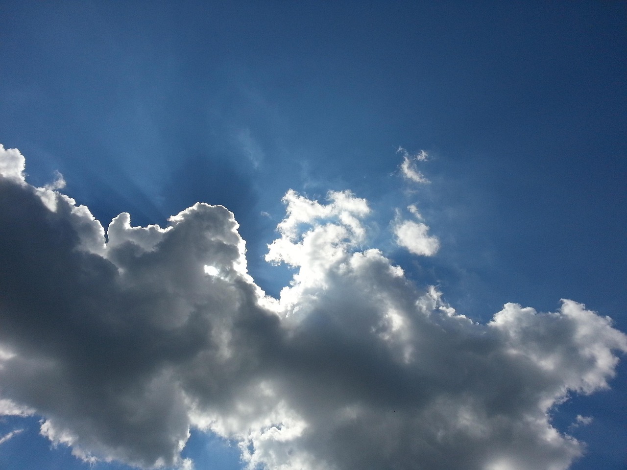 漢宮花苑最新動(dòng)態(tài)，綻放的新篇章