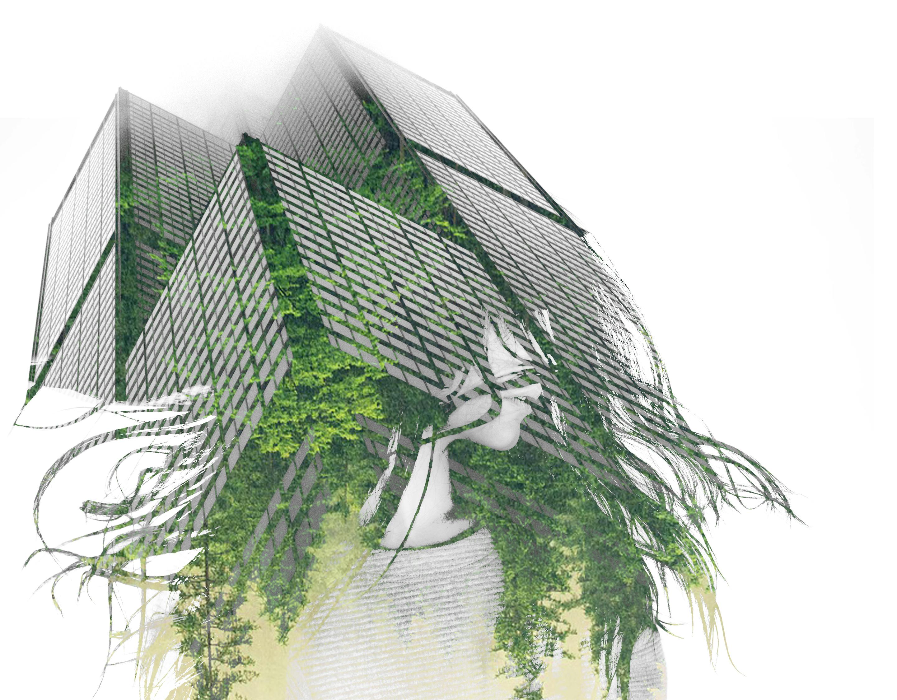 楊冪街拍生活照曝光，時尚潮流風(fēng)向標(biāo)的新動態(tài)