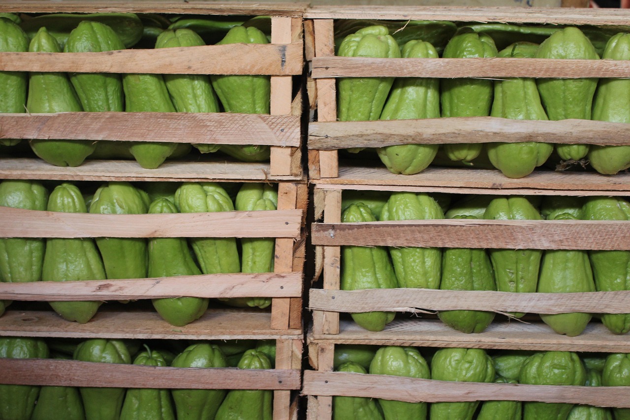 濱康綜合體最新動態(tài)，城市發(fā)展的璀璨明珠閃耀光芒