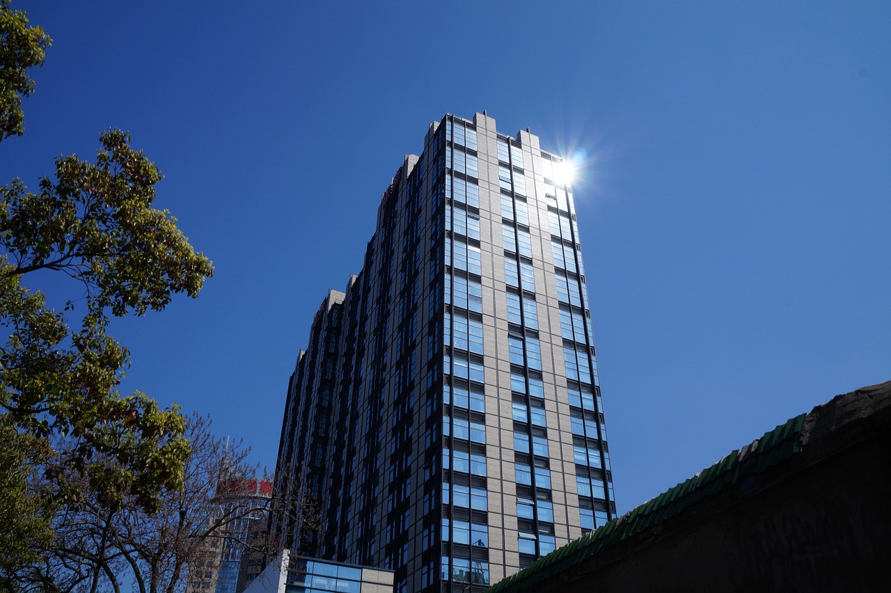 林口二手樓房最新發(fā)布，市場趨勢與購房指南