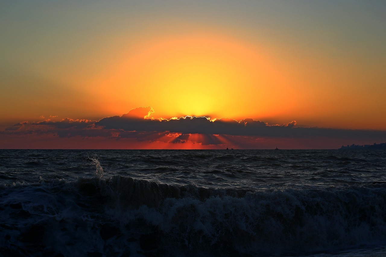 暮光之城女主最新動(dòng)態(tài)，閃耀星辰的更新揭秘