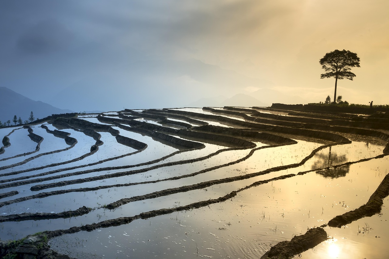 新鄉(xiāng)鳳泉湖最新進(jìn)展揭秘，生態(tài)城市壯麗序幕正式拉開！