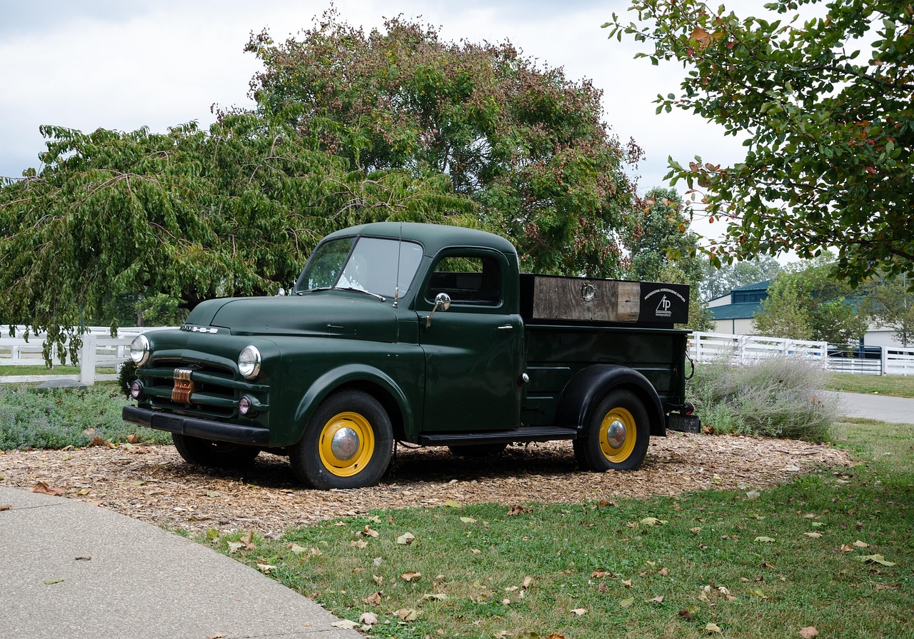 大興區(qū)蘆東路最新動(dòng)態(tài)，發(fā)展進(jìn)展與未來(lái)展望