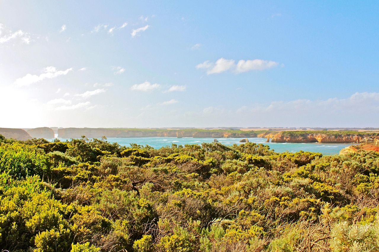 水洛鎮(zhèn)崖王村最新動(dòng)態(tài)更新，最新消息匯總