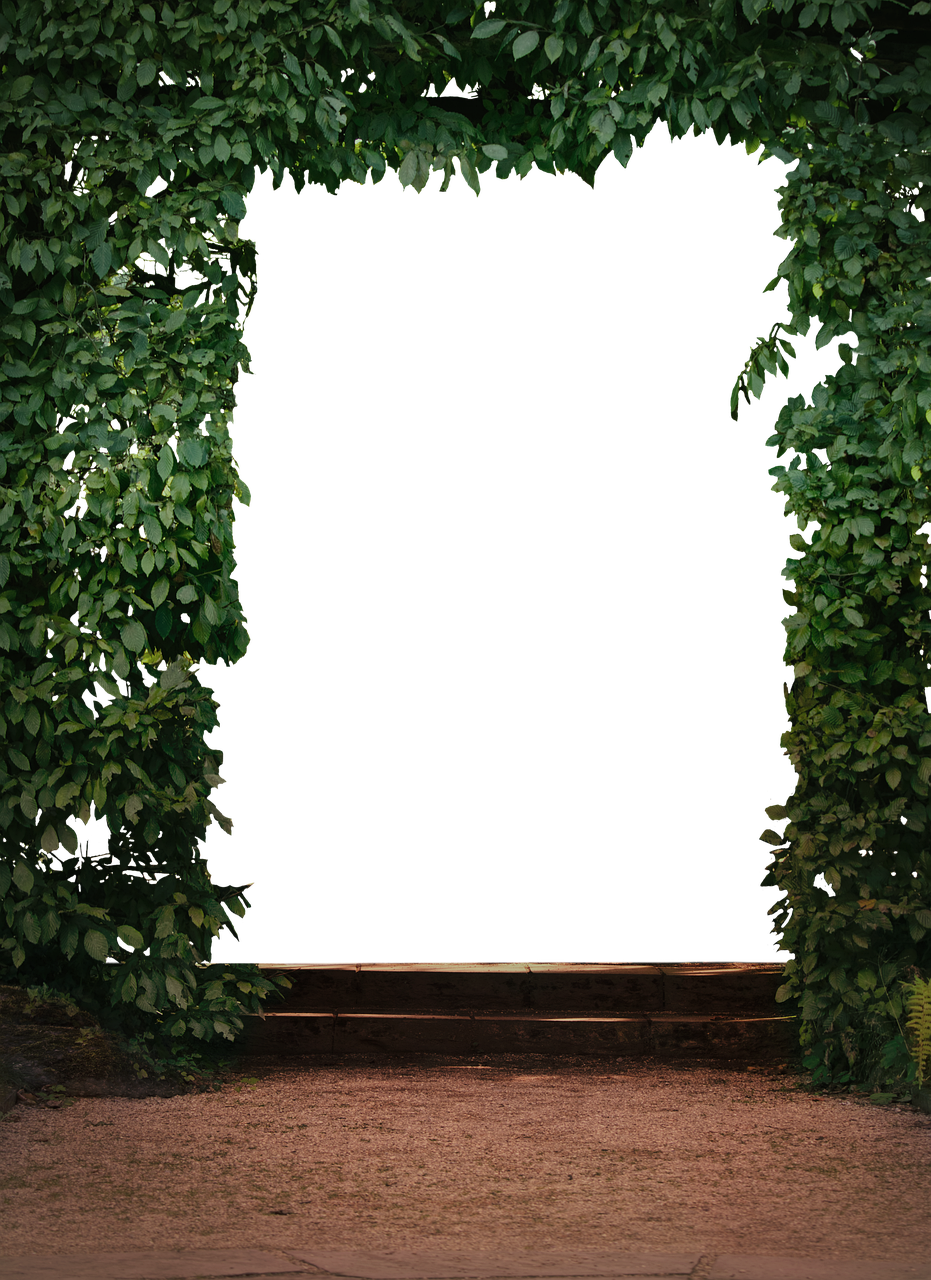 南湖公園二期最新動(dòng)態(tài)，綠色明珠的未來(lái)展望