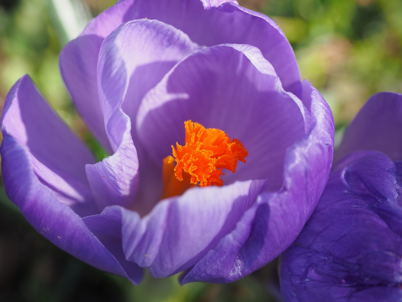 金壇高鐵最新進展動態(tài)更新