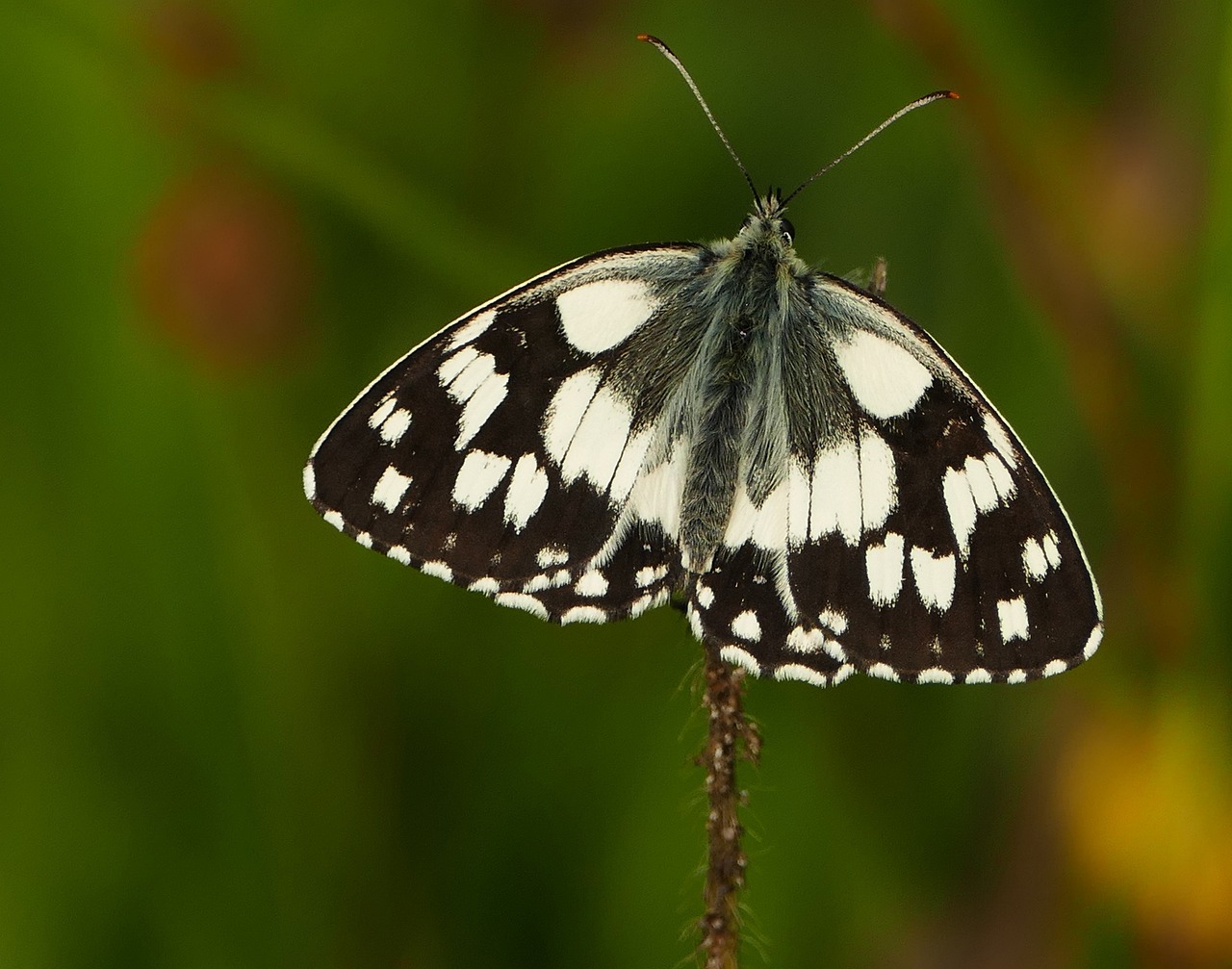周村二手房最新信息概覽，最新房源、價格及交易動態(tài)一網(wǎng)打盡