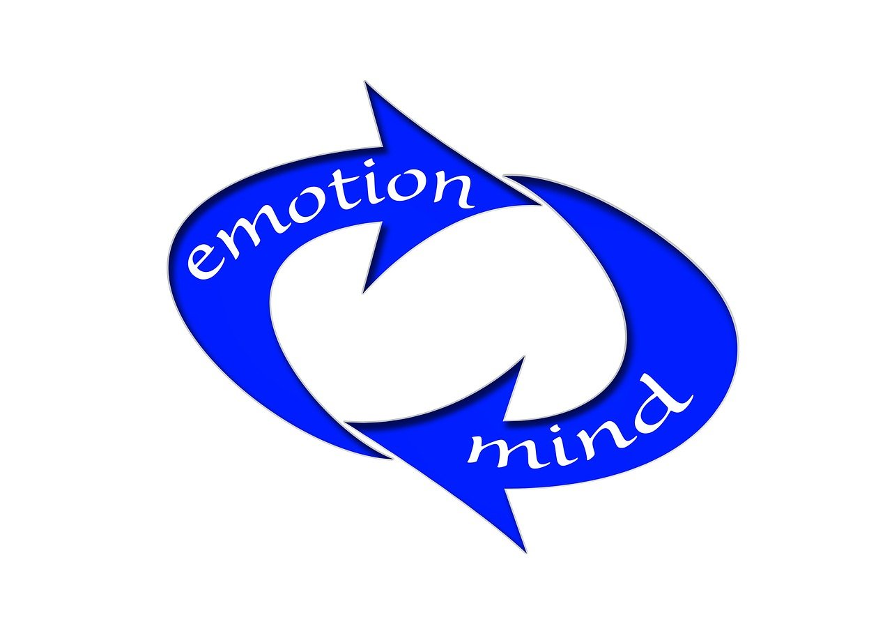 諾德股份借殼新動態(tài)，企業(yè)轉(zhuǎn)型與資本市場融合迎新機遇