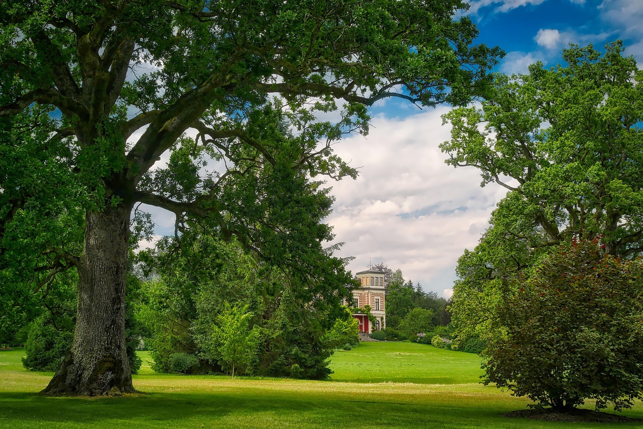 愛濤尚書云邸最新動態(tài)揭秘，城市繁華生活新篇章